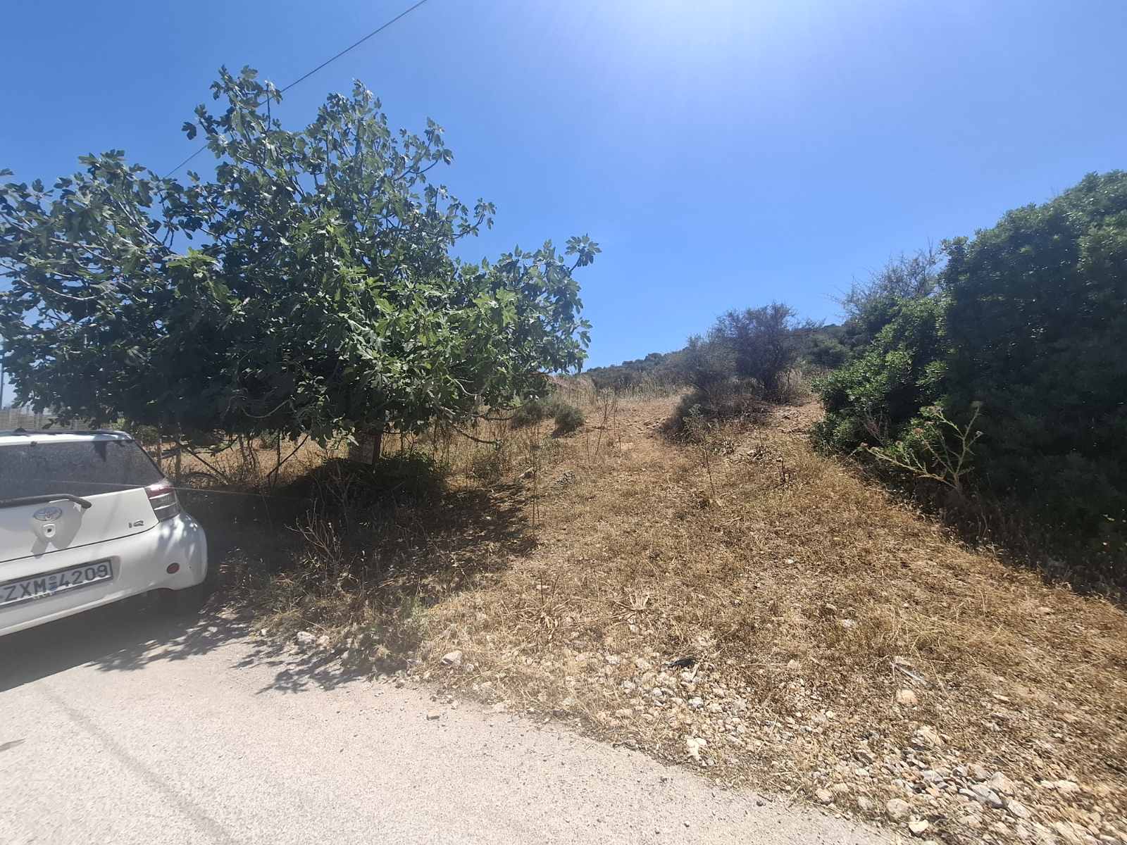 Terreno di 4.222 m² a Duni, Salamina
