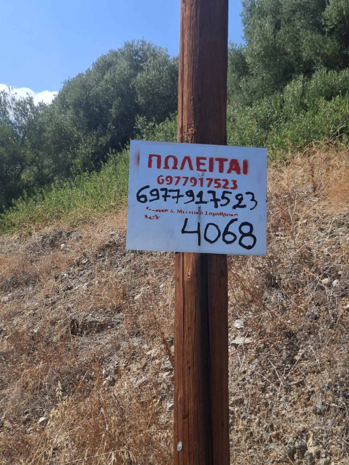 Doppio lotto a Peristeria, Salamina
