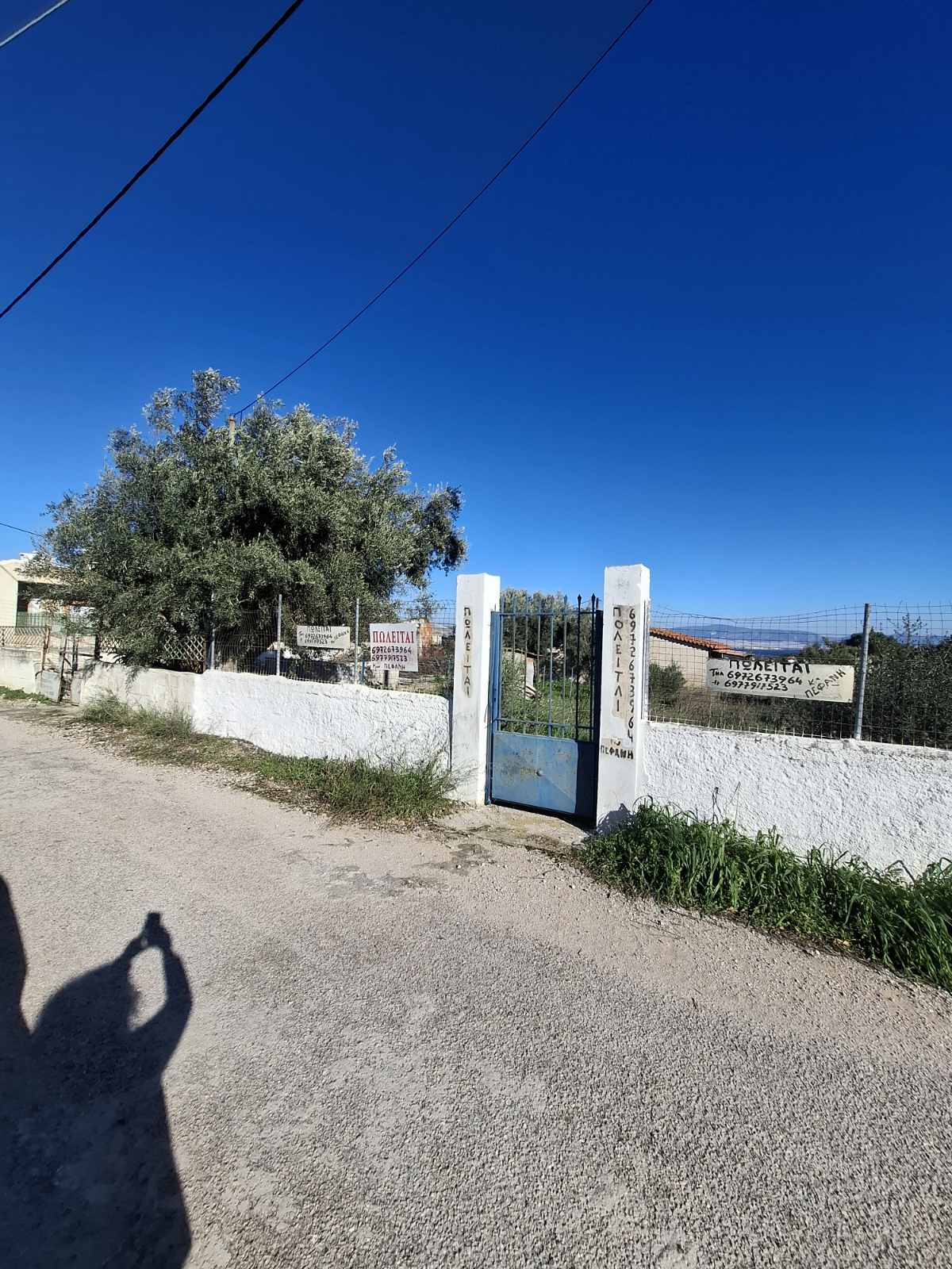 Terreno di 242 m² a Selinia, Salamina (fuori dal piano regolatore)
