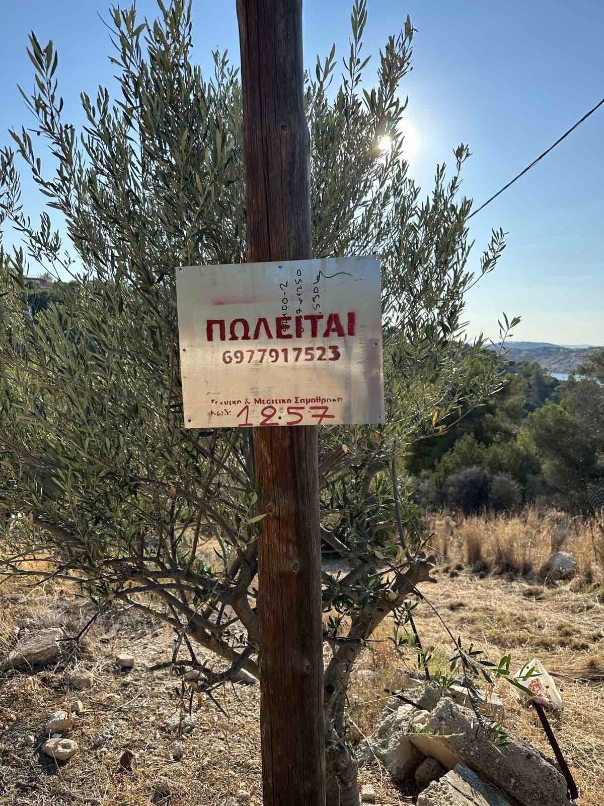 Grundstück mit einer Fläche von 483 m² in Iliakti auf Salamis