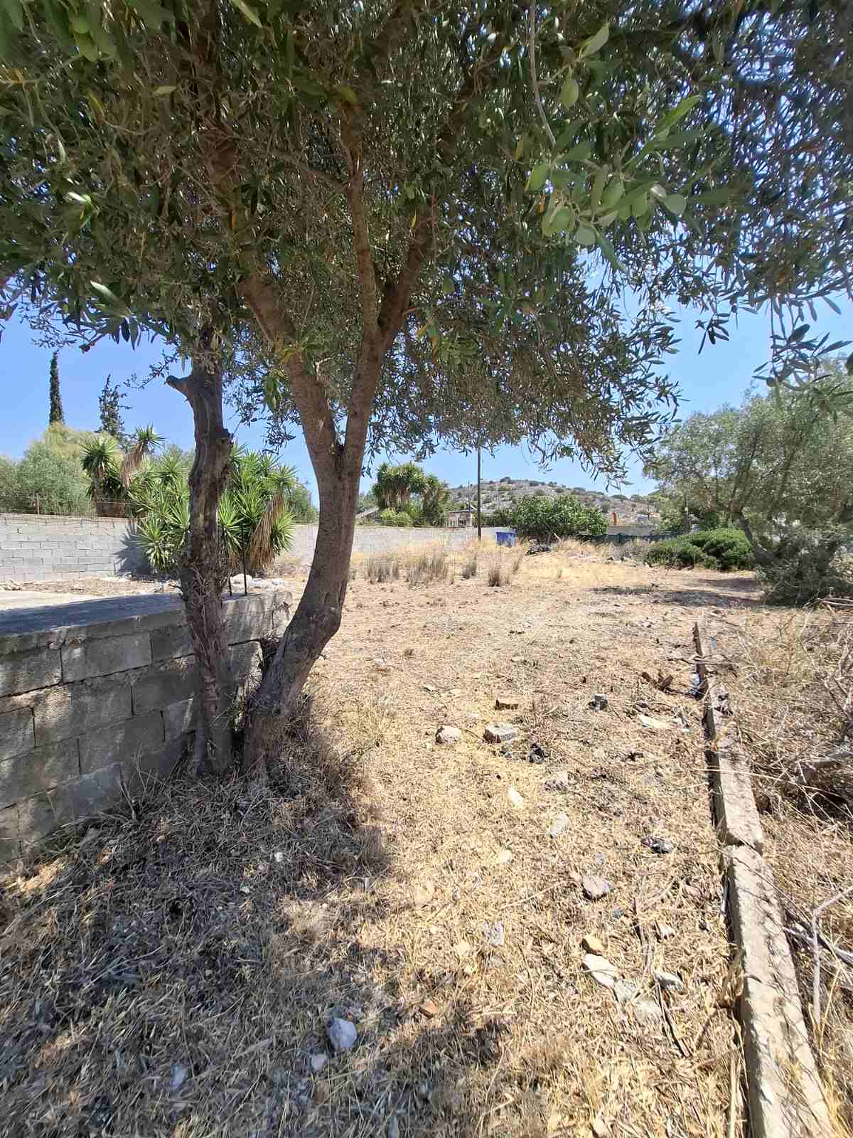 Terreno agricolo di 286 m² a Bizani, Salamina