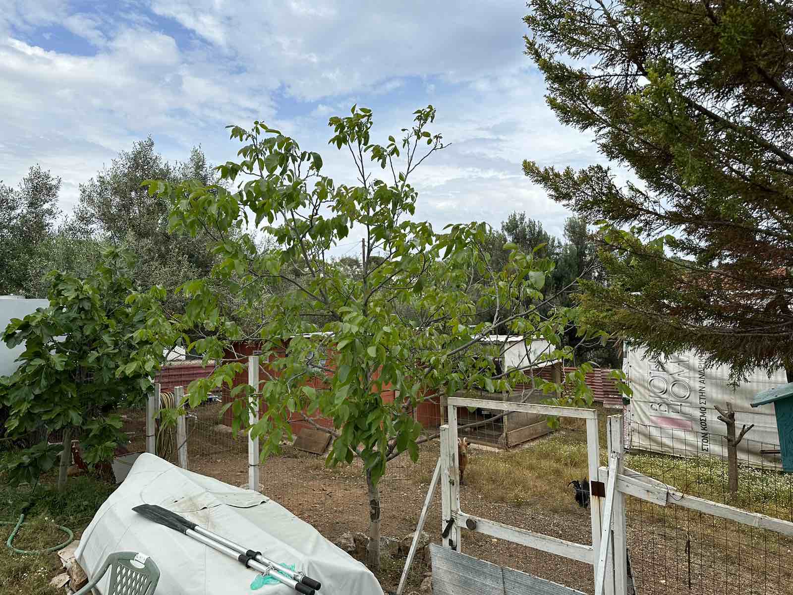Due lotti di terreno di 420 m² a Drenia, in Tracia, a Salamina