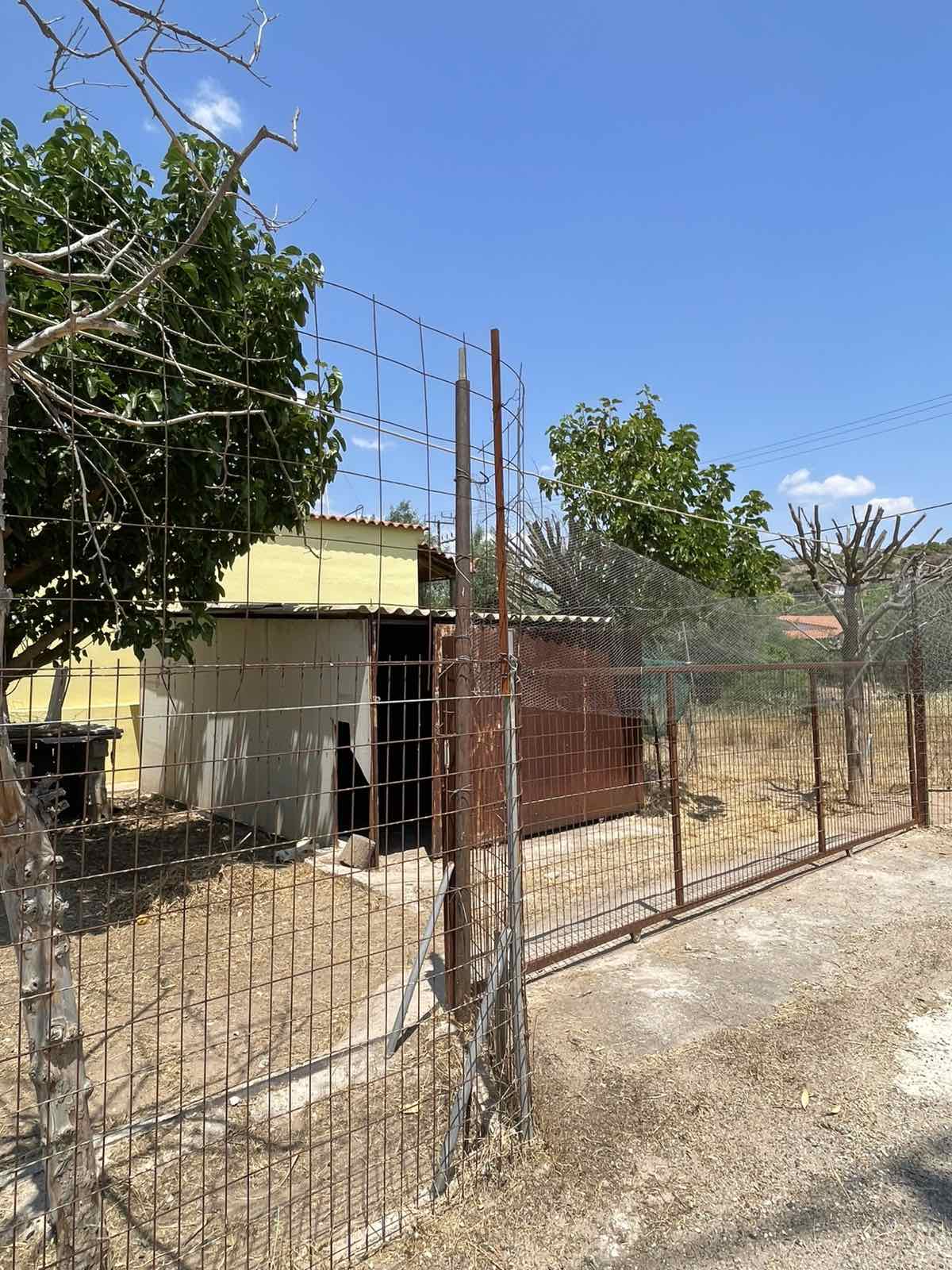 Γωνιακό οικόπεδο 370 τ.μ. στο Μπατσί Σαλαμίνας