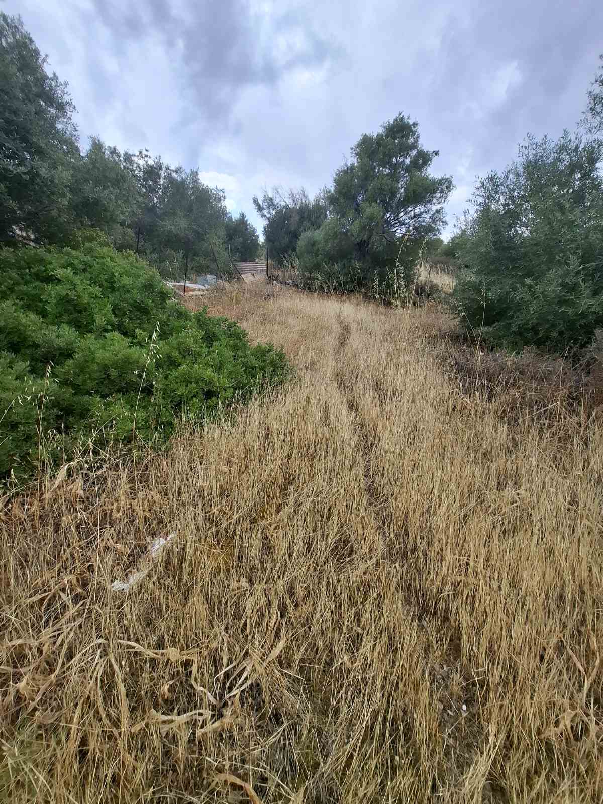 Grundstück mit einer Fläche von 198 m² in Kyriza auf Salamis (außerhalb des Bebauungsplans)