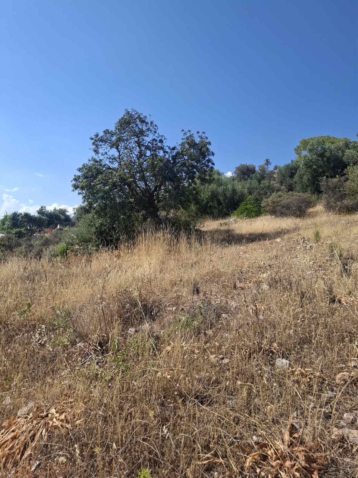 Quattro lotti contigui di 882 m² a Kaki Vigla, Salamina