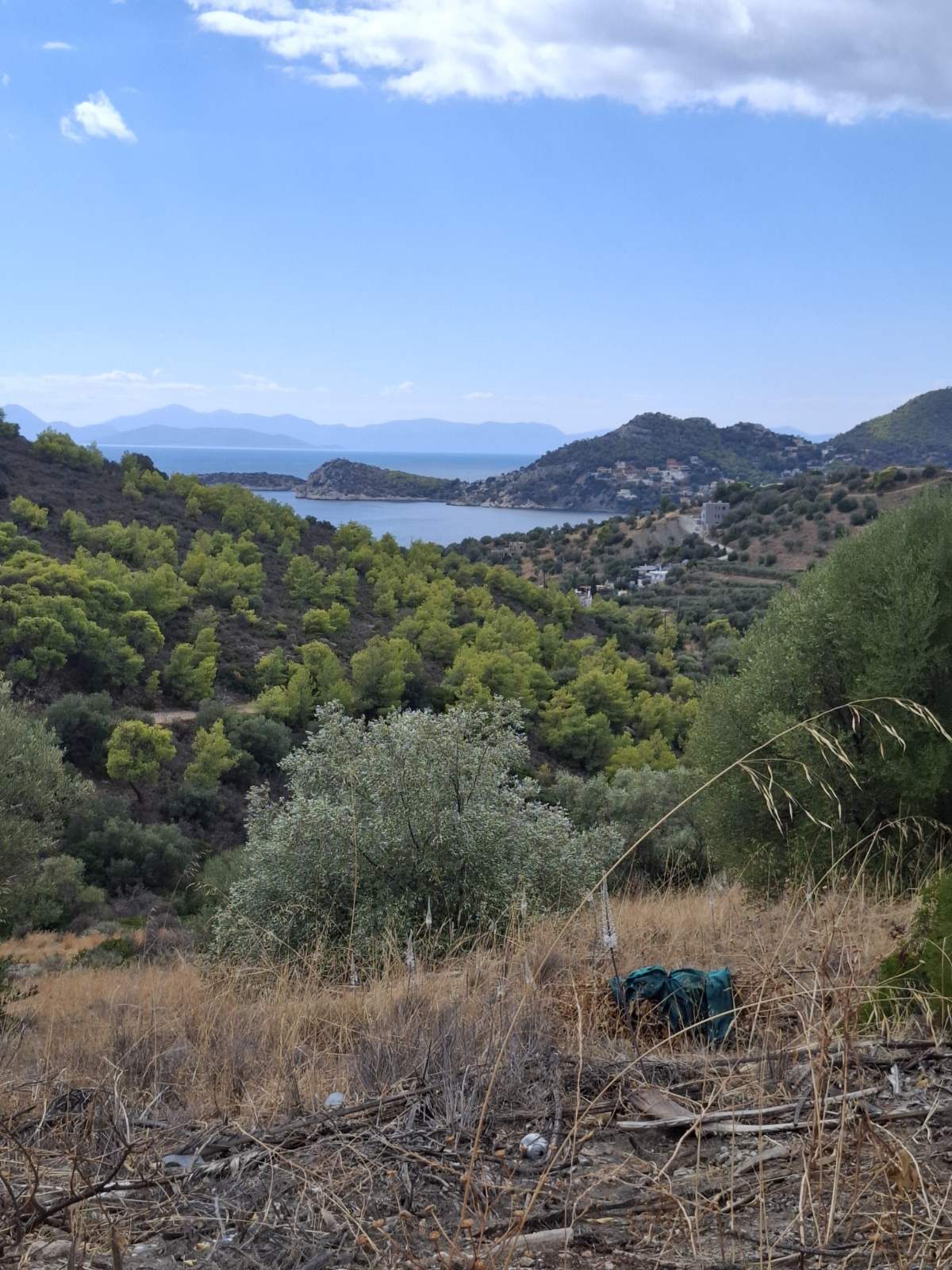 Terreno di 20 stremmi a Dimitrani, Salamina