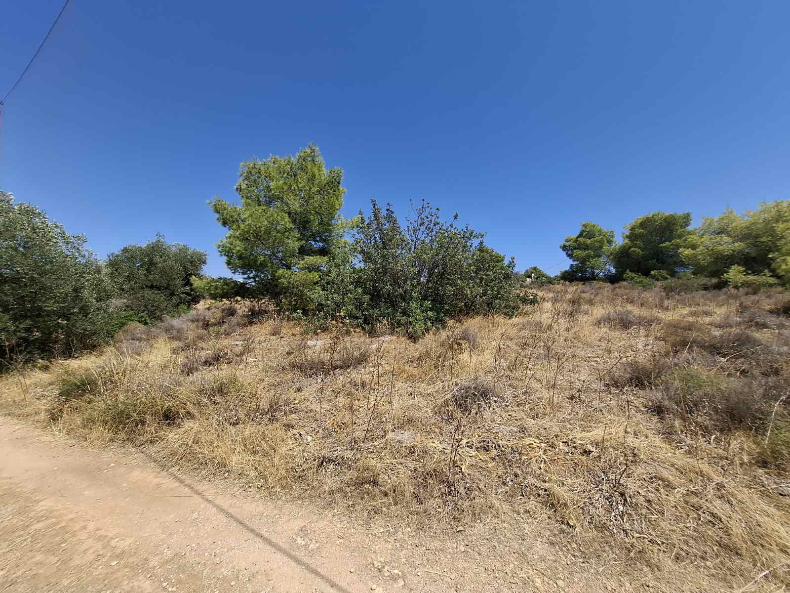 Grundstück mit einer Fläche von 1.034 m² in Ambelakia auf Salamis