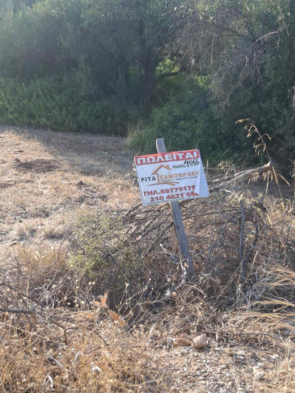 Έκταση 1.856 τ.μ. στα Σελήνια Σαλαμίνας