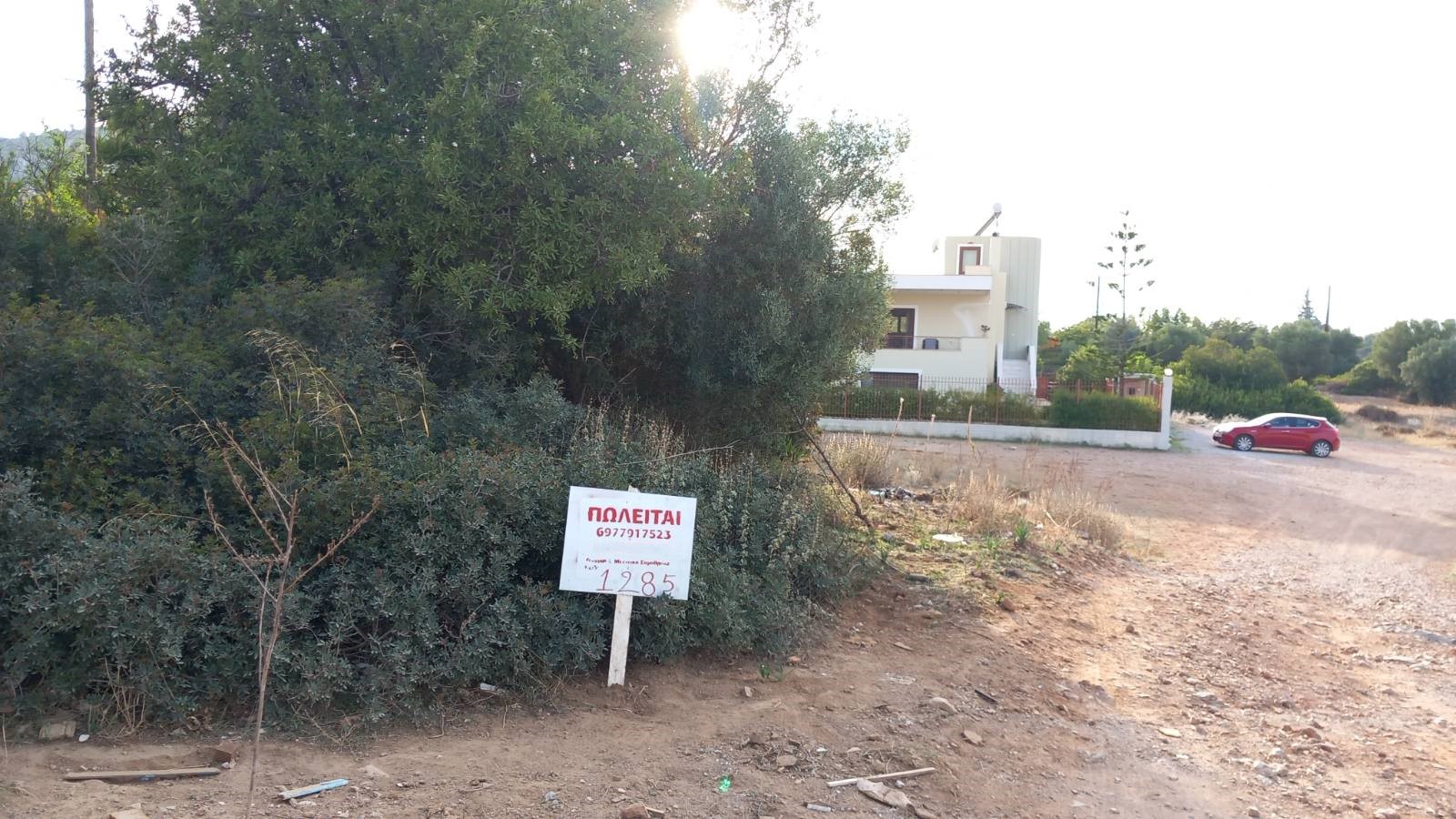 Οικόπεδο 513 τ.μ. στα Αμπελάκια Σαλαμίνας (εκτός σχεδίου)