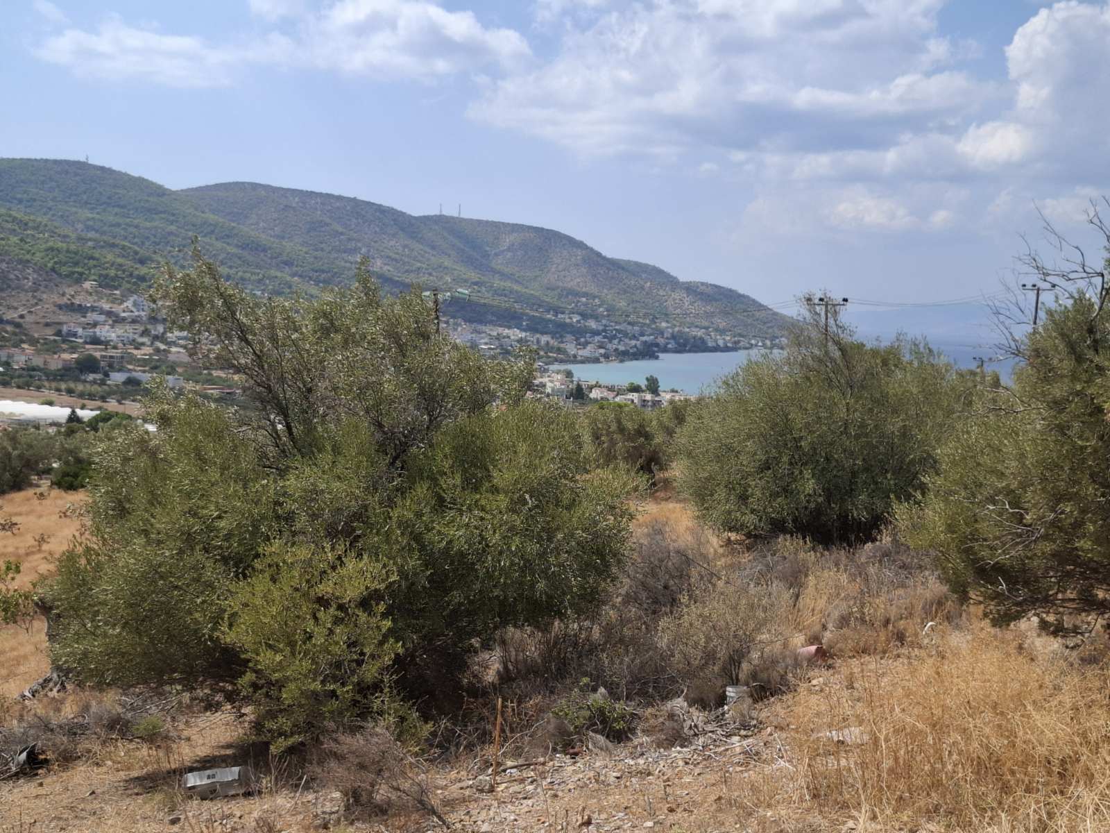 Terreno di 317 m² a Zarbala, Salamina (fuori dal piano regolatore)