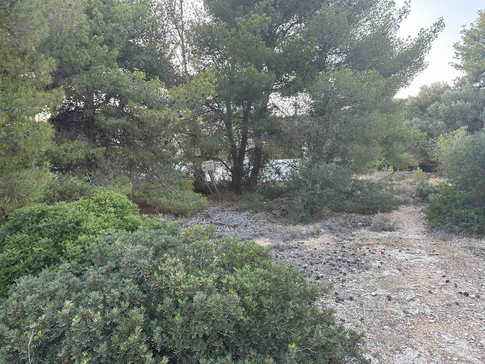 Οικόπεδο 314 τ.μ. στα Κανάκια Σαλαμίνας