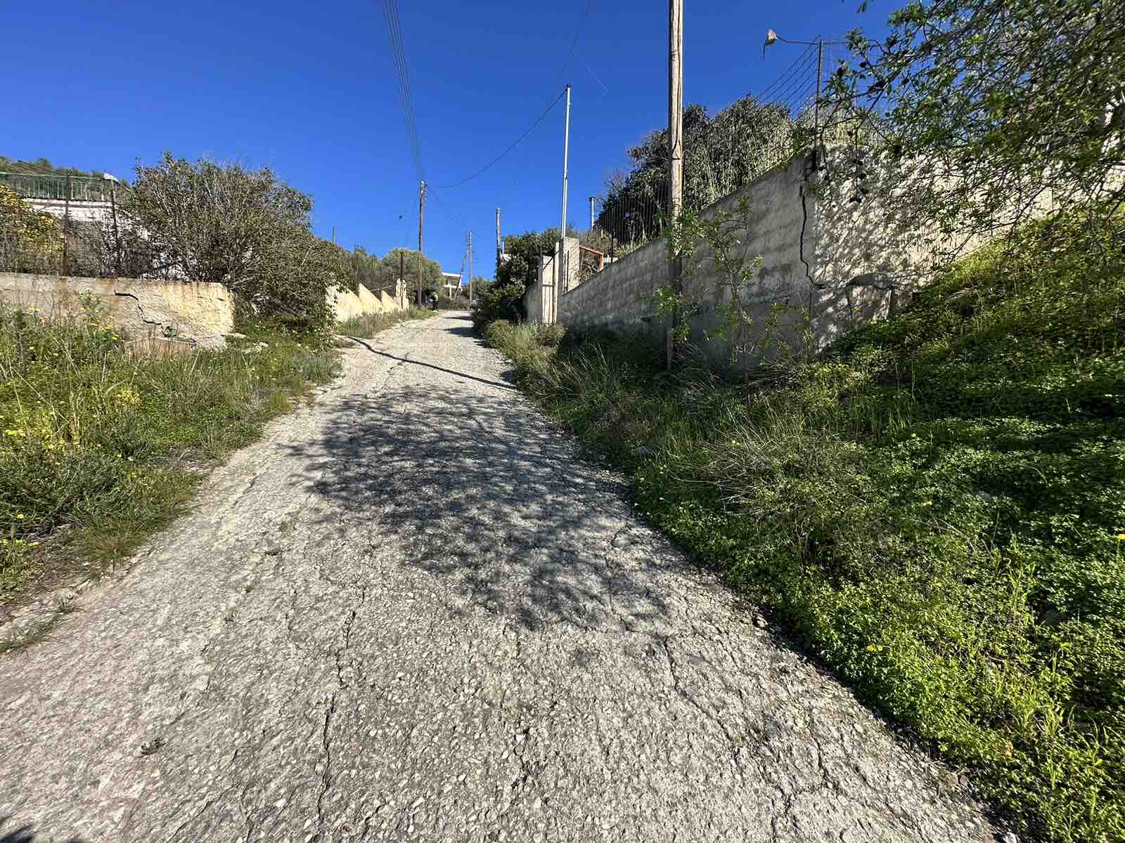 Terreno agricolo di 180 m² a Giala, Salamina