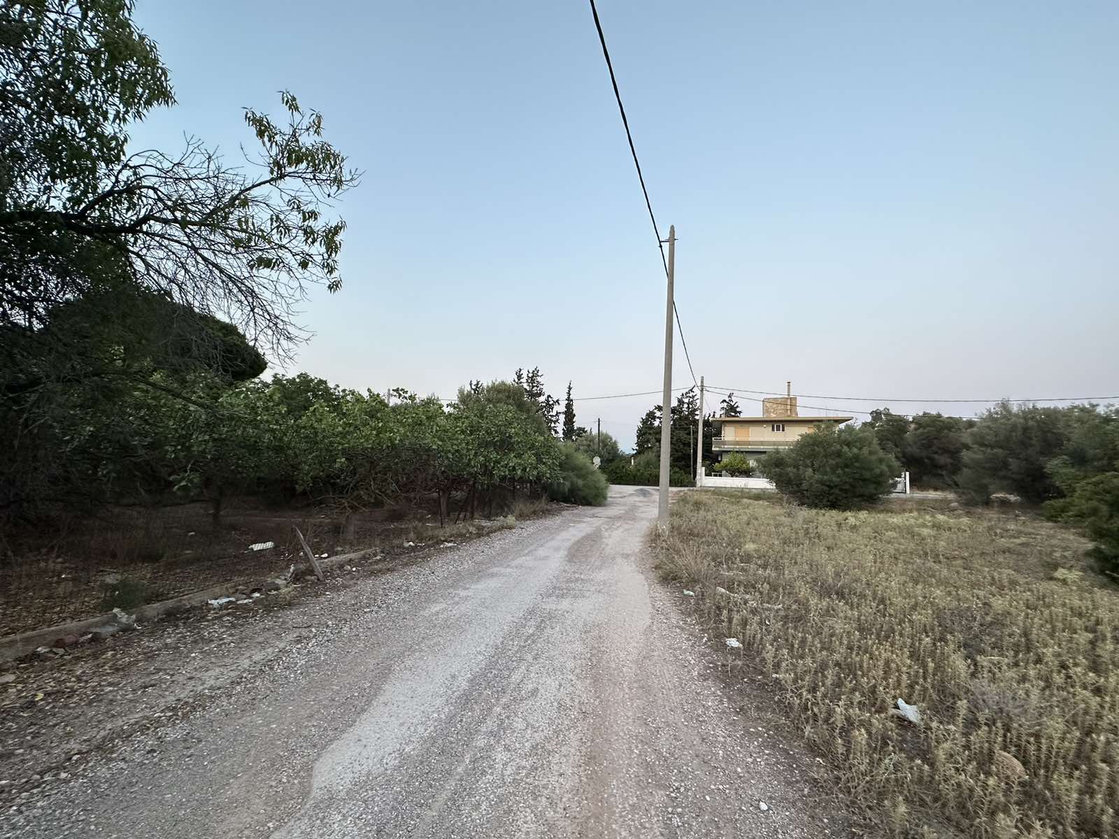 Οικόπεδο 242 τ.μ. στα Σελήνια Σαλαμίνας (εκτός σχεδίου)