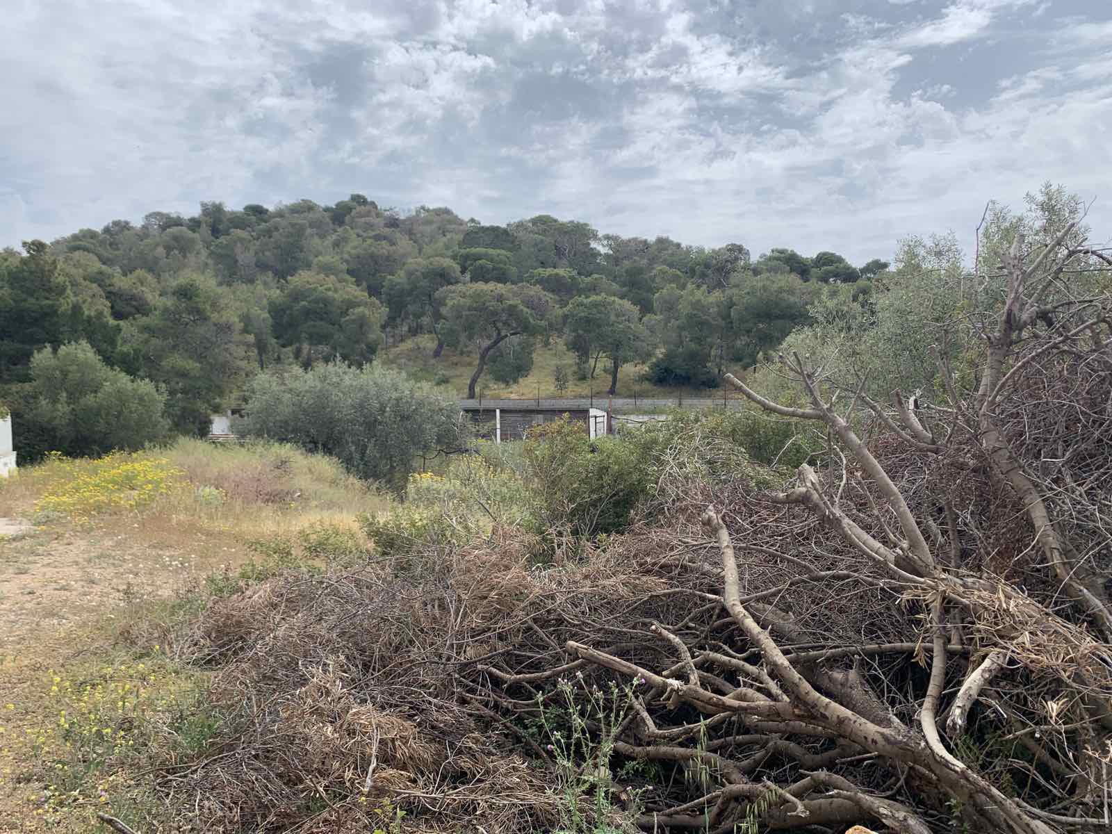 Οικόπεδο 1.000 τ.μ. στη Ζορμπαλά Σαλαμίνας