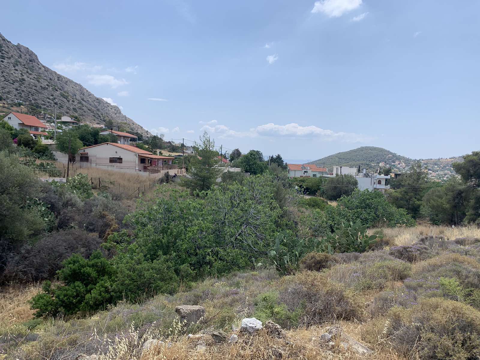 Οικόπεδο 970 τ.μ. στην Κακή Βίγλα Σαλαμίνας