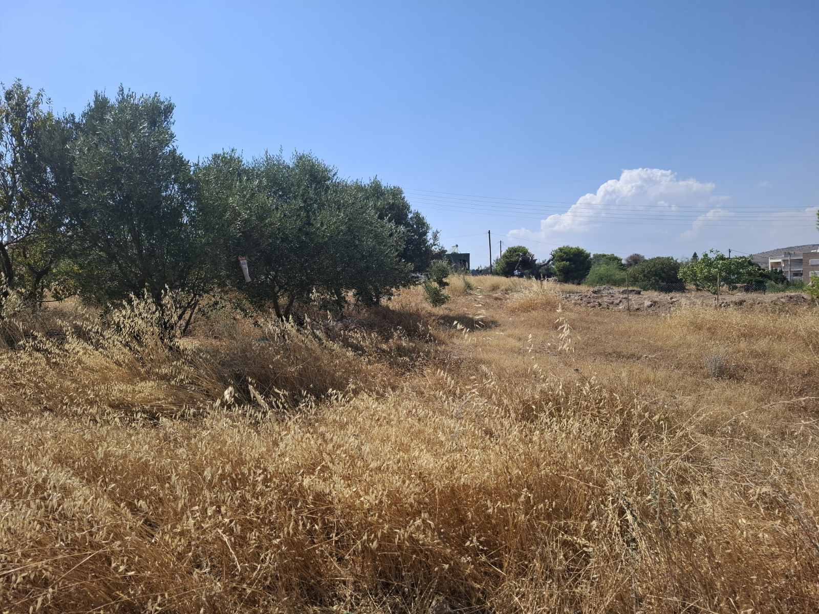 Terreno di 306 m² ad Ambelakia, Salamina (fuori dal piano regolatore)