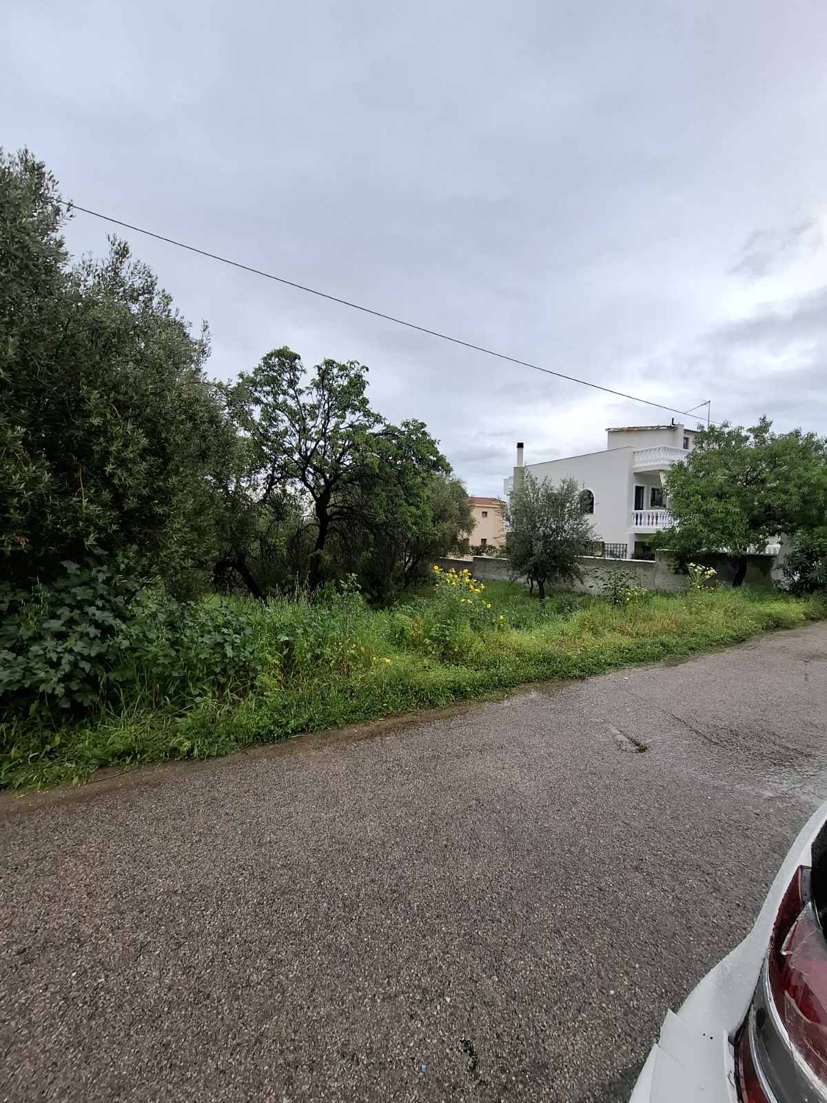 Terreno di 525 m² a Selinia, Salamina