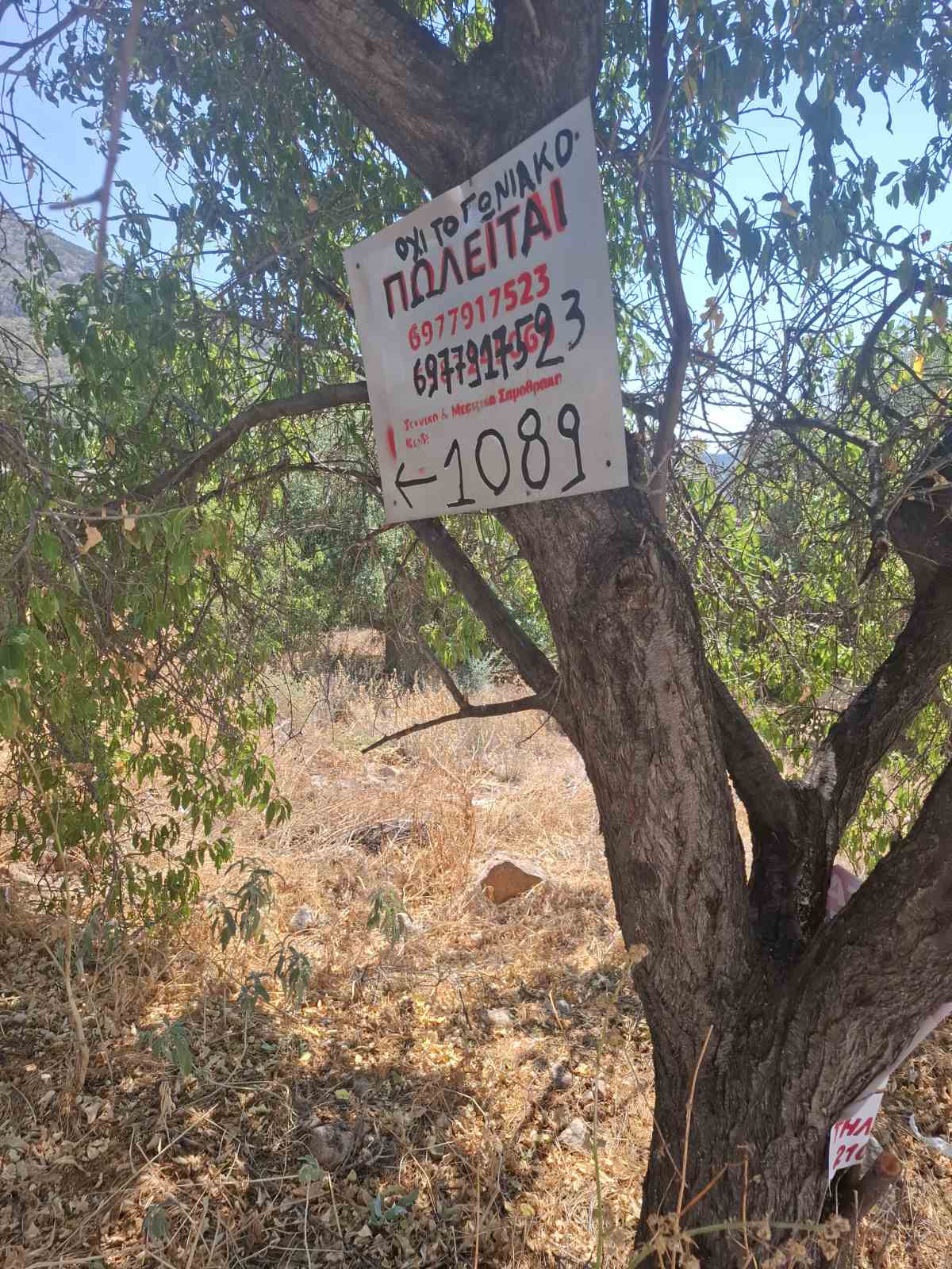 Οικόπεδο 225 τ.μ. στο Αιάντειο Σαλαμίνας