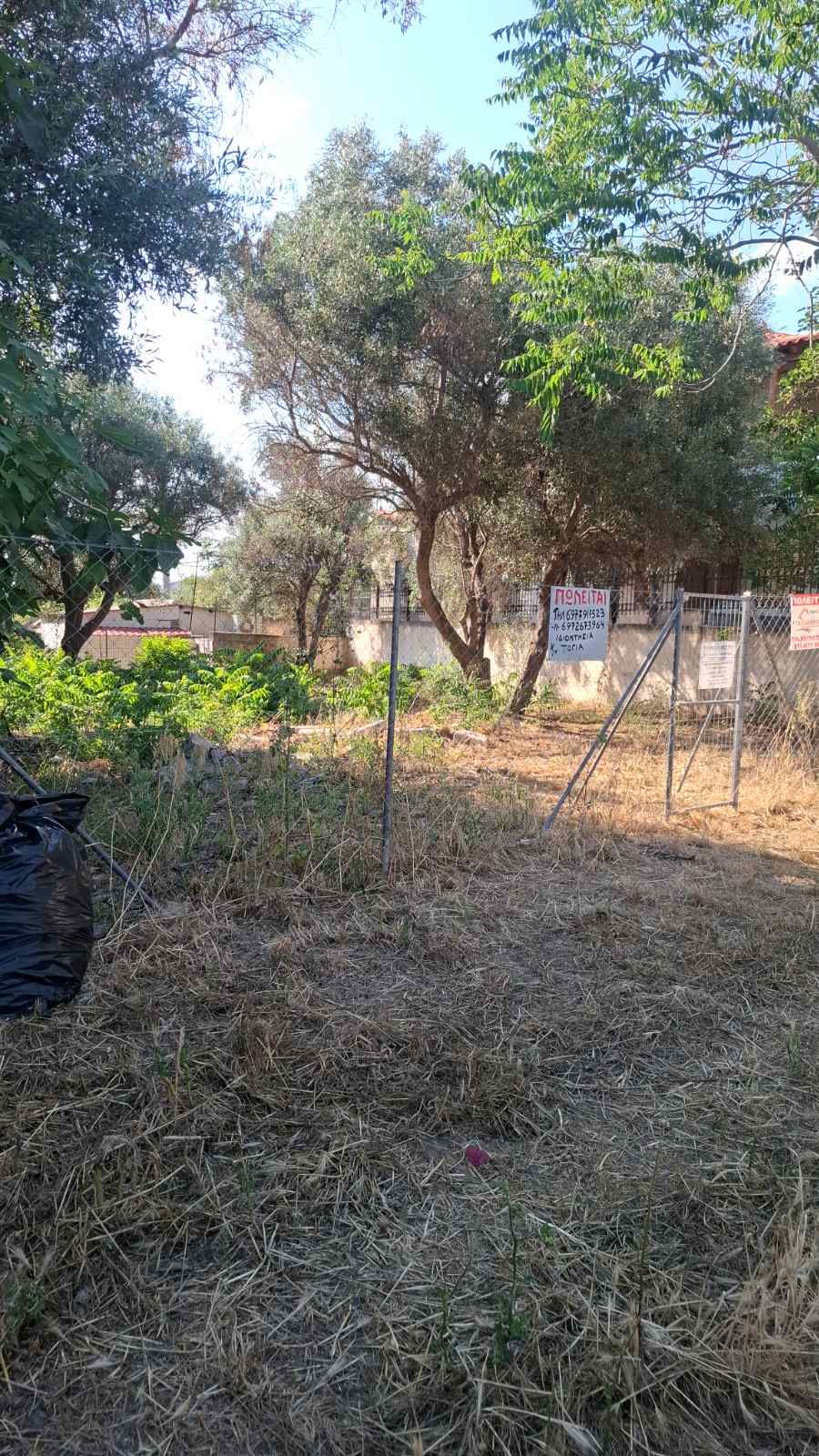 Terreno di 292 m² a Xeno, Salamina