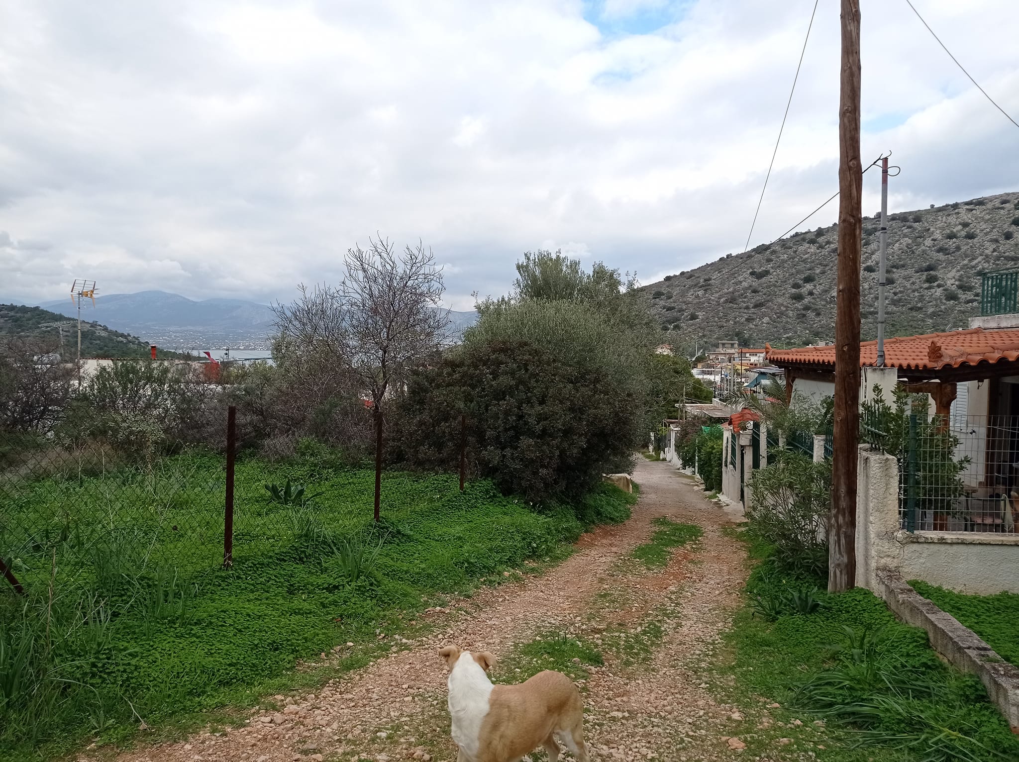 Terreno di 205 m² a Xeno, Salamina