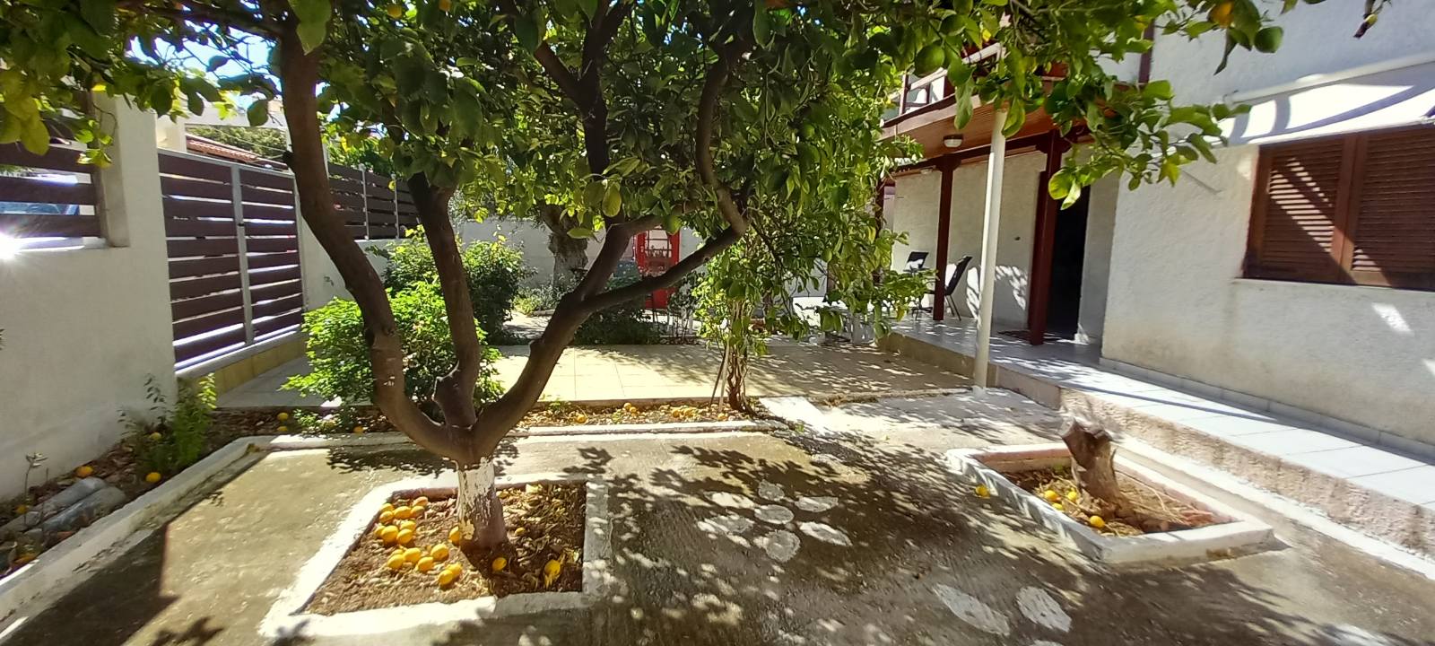 Αυλή με Δέντρα