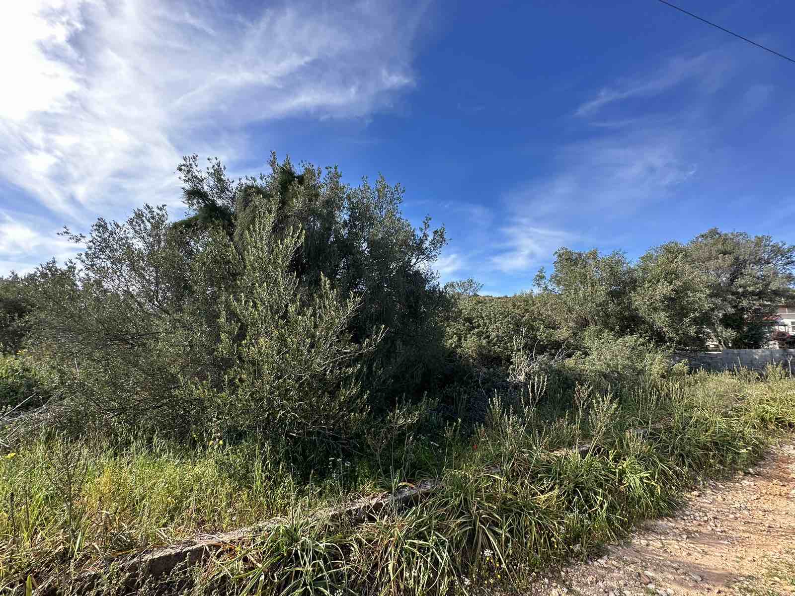 Due appezzamenti di terreno di 306 m² a Vasilika, Salamina