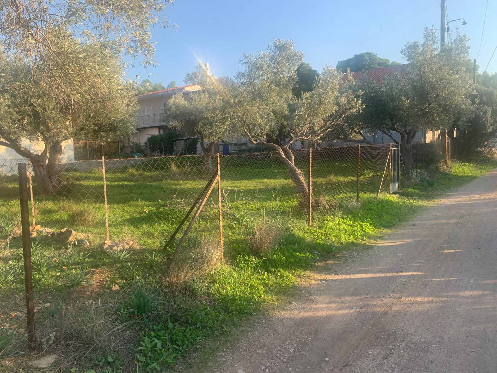 Οικόπεδο 488 τ.μ. στη Σαλαμίνα – Άγιος Δημήτριος