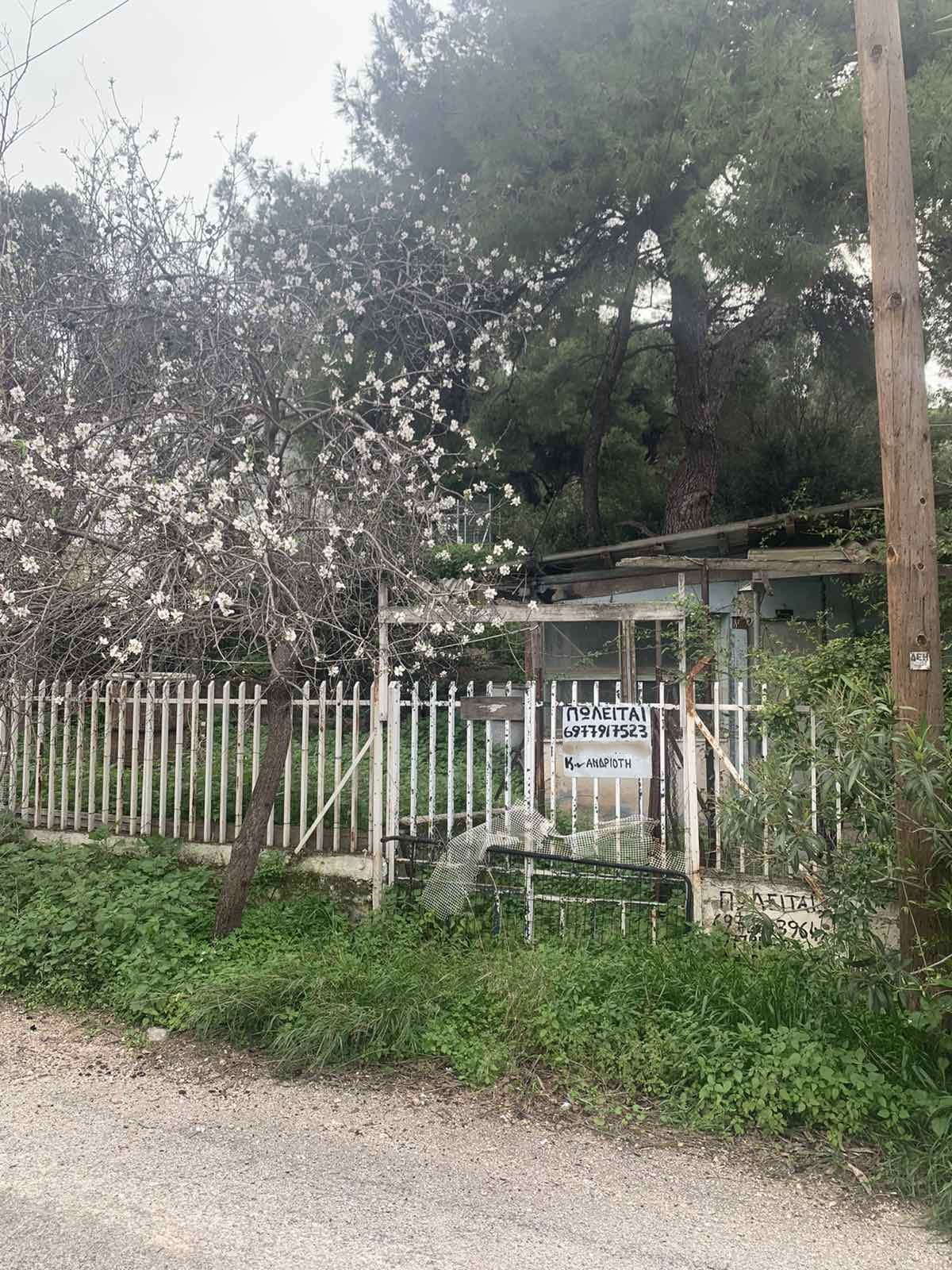 Οικόπεδο 254 τ.μ. στα Σελήνια Σαλαμίνας