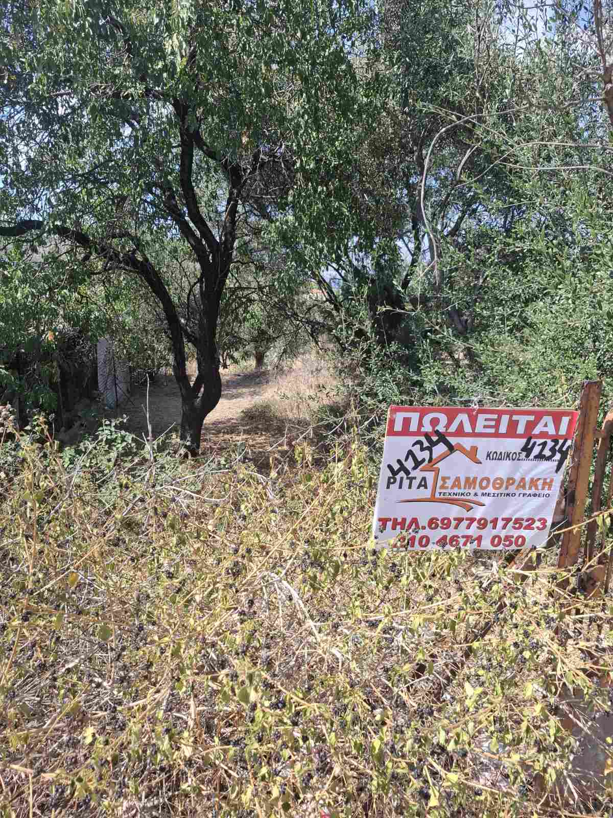 Terreno di 1.220 m² ad Agios Georgios, Salamina (fuori dal piano regolatore)