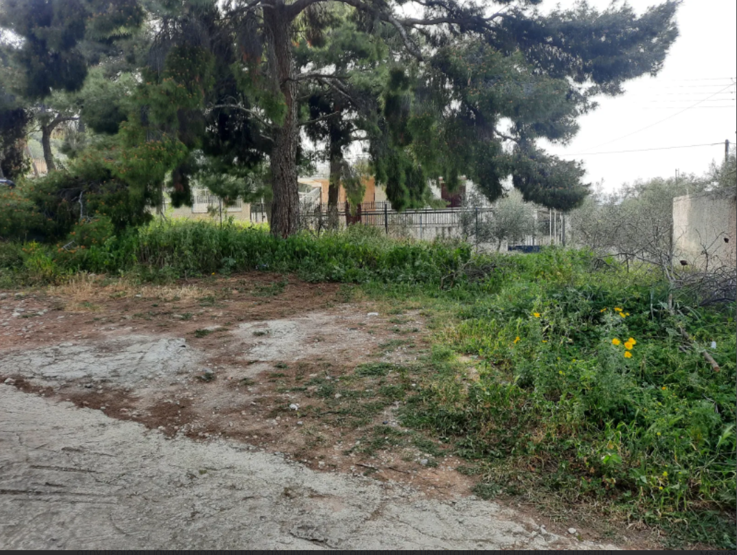 Grundstück mit einer Fläche von 184,40 m² in Panagia Vrontou auf Salamis