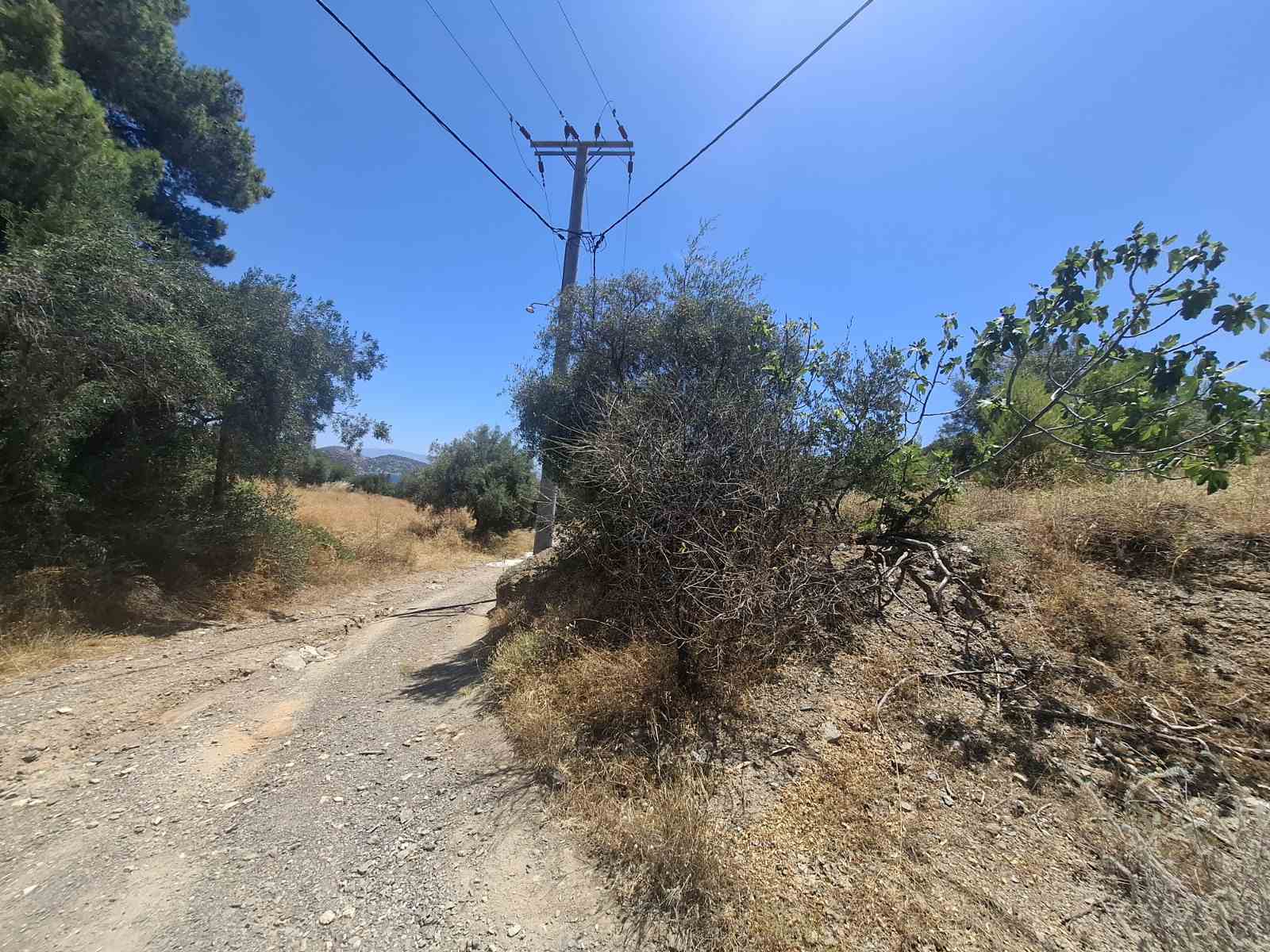 Terreno di 8,5 stremmi a Perani, Salamina