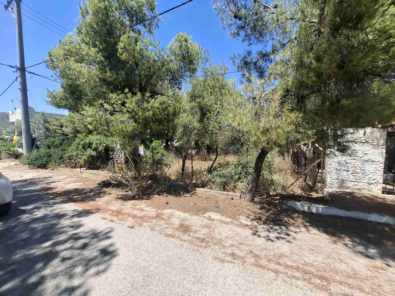 Γωνιακό οικόπεδο 290 τ.μ. στα Σελήνια Σαλαμίνας