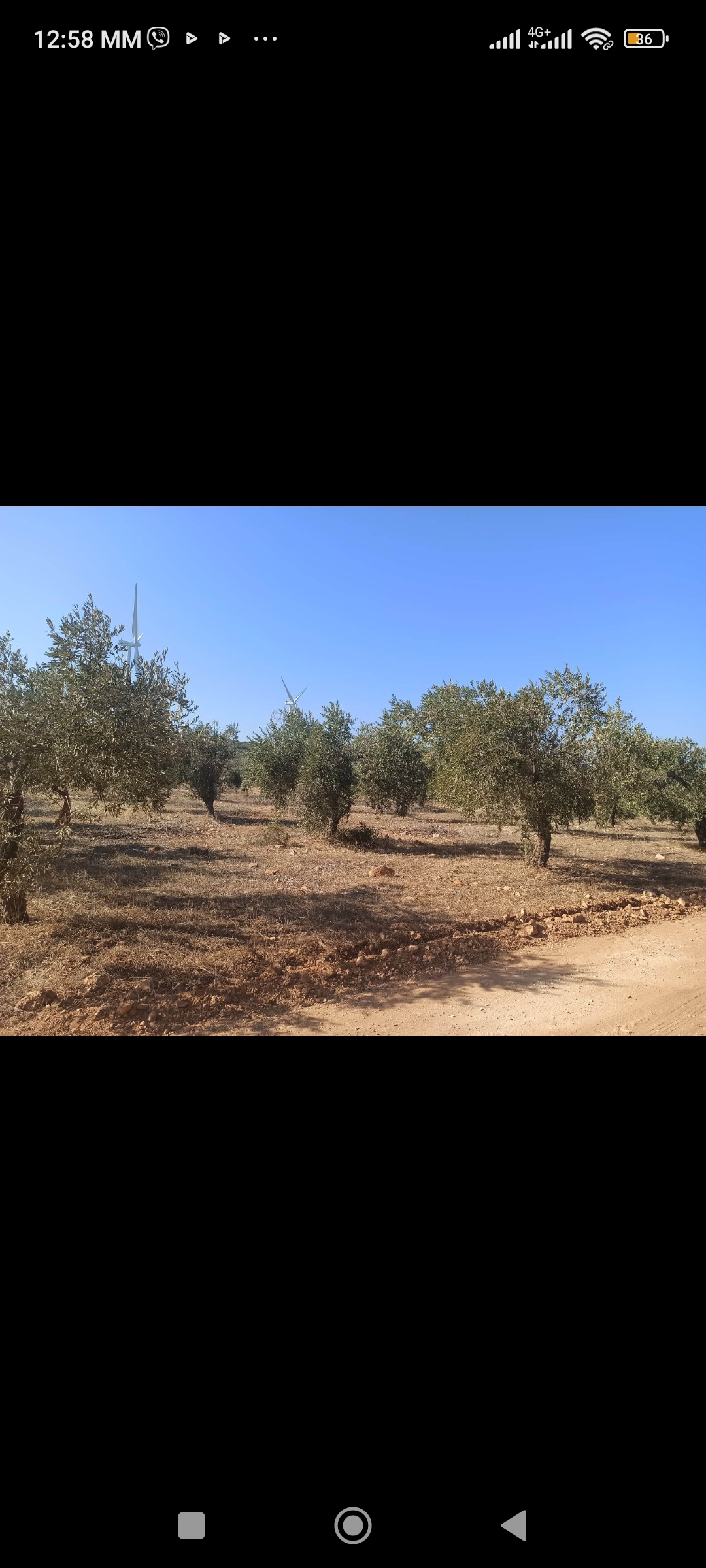 Appezzamento di terreno di 7 stremmi a Malesina, nella regione della Ftiotida