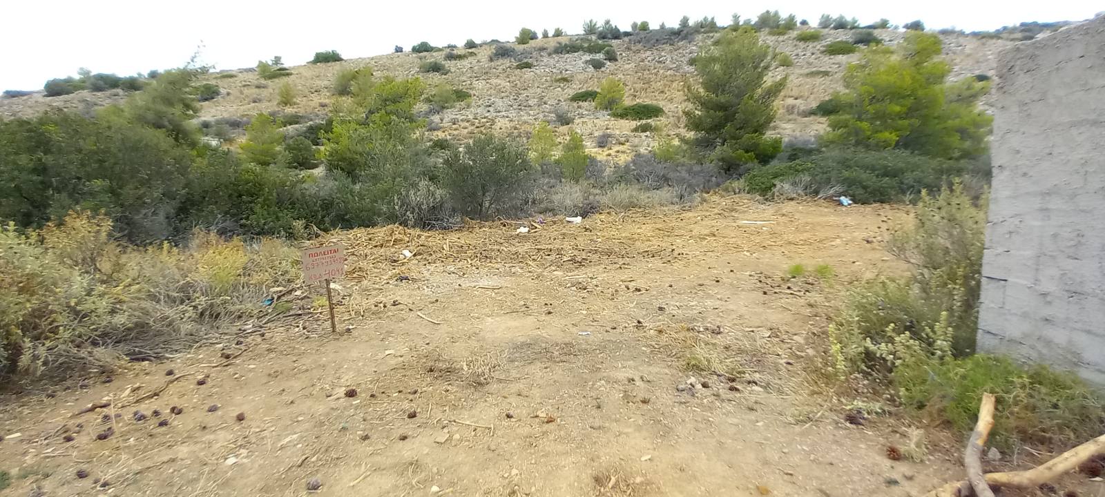 Οικόπεδο 217 τ.μ. στο Ξένο Σαλαμίνας