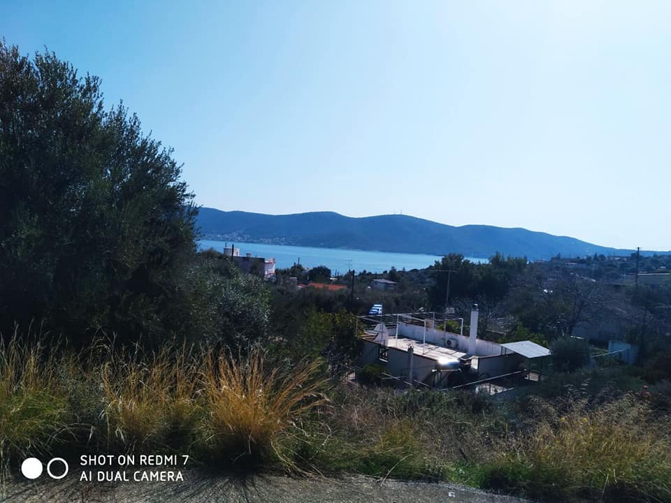 Οικόπεδο 304 τ.μ. στο Τουρκολίμανο Σαλαμίνας
