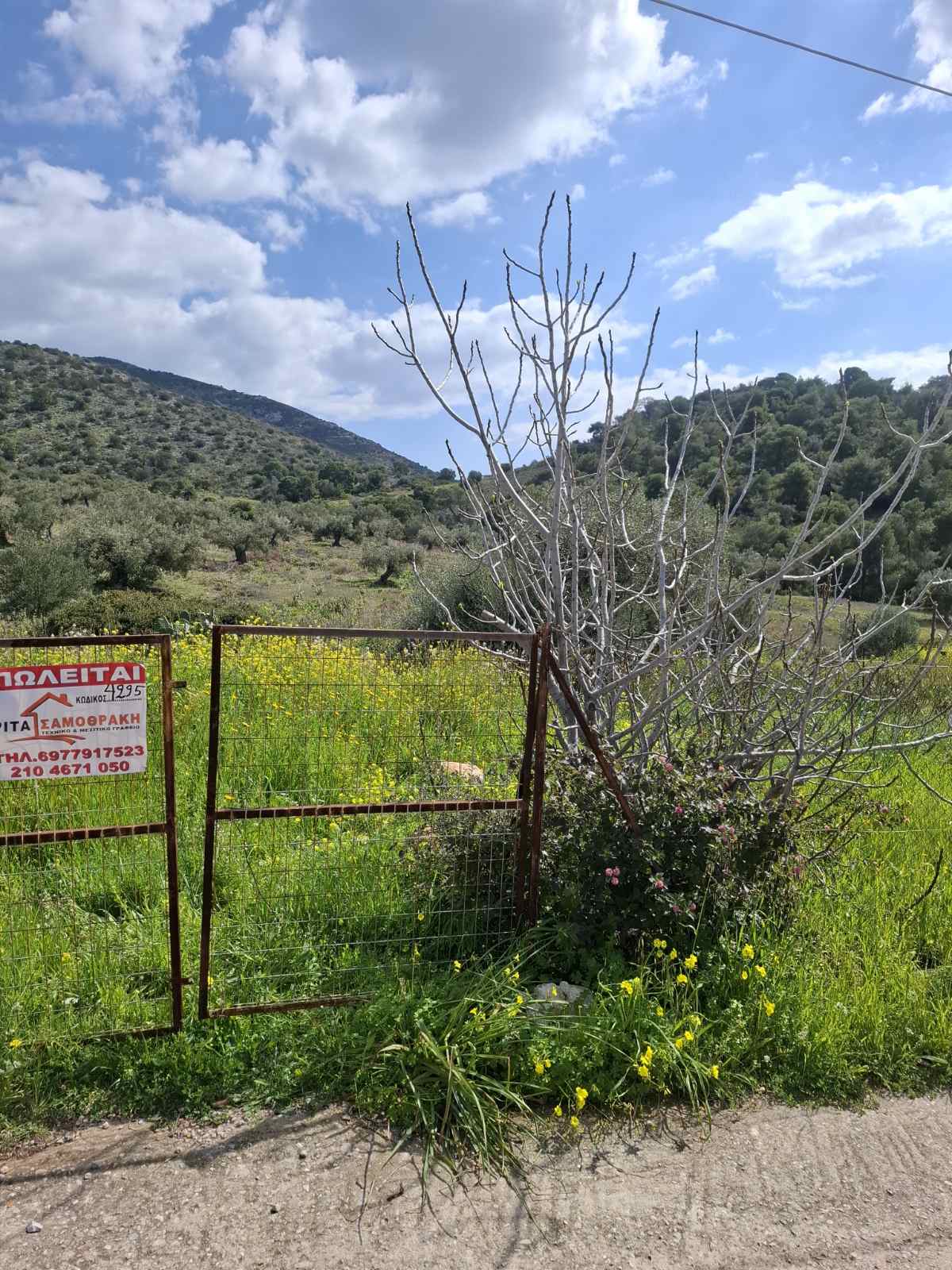 Terreno di 834 m² a Kaki Vigla, Salamina