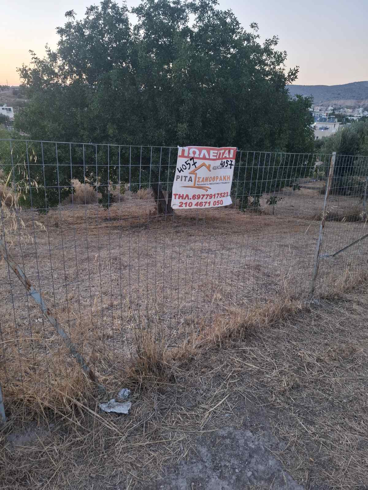 Γωνιακό οικόπεδο 178 τ.μ. στα Ντρένια Σαλαμίνας