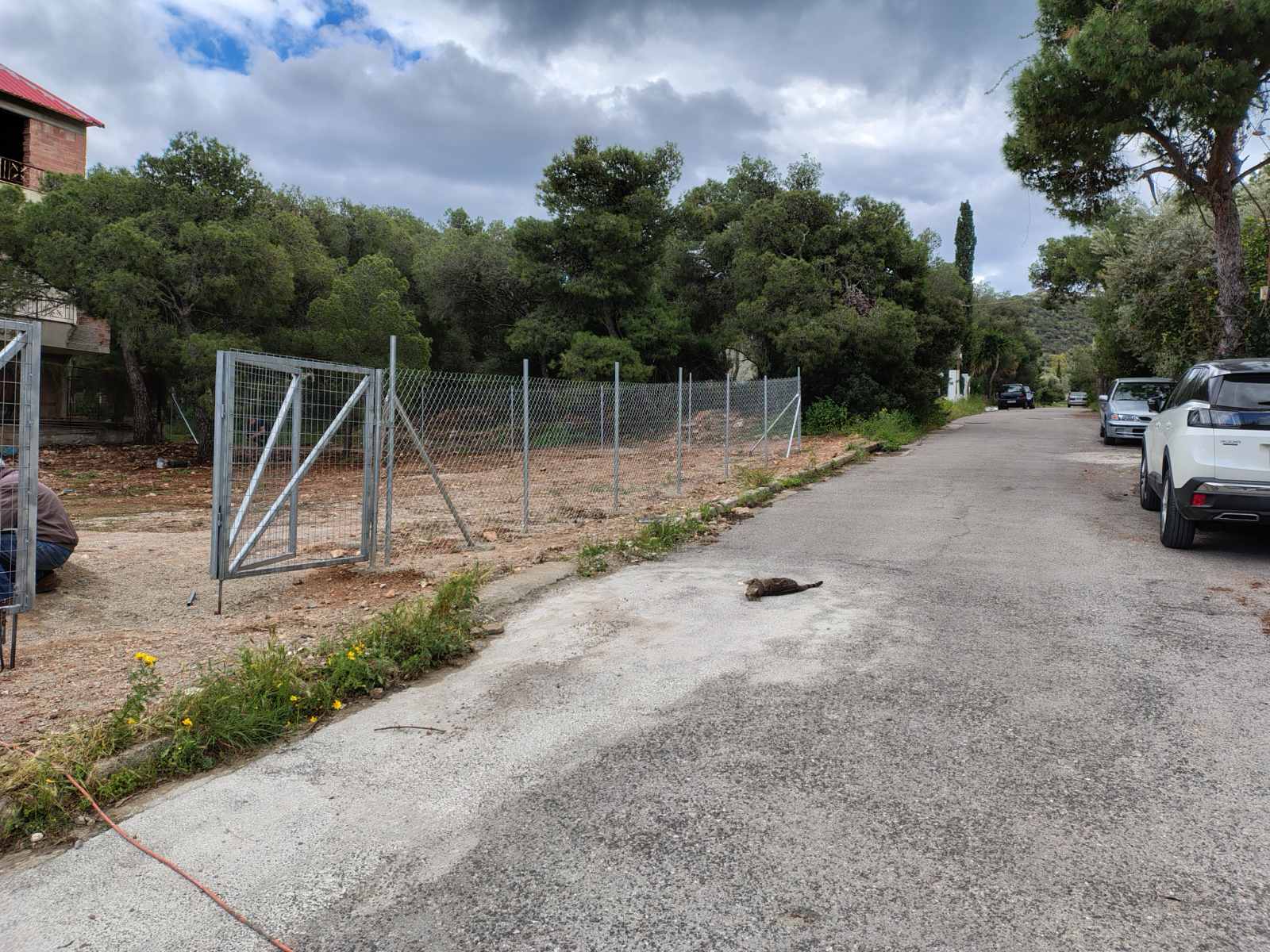 Περιφράξεις